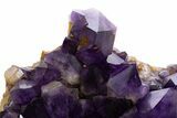 Deep Purple Amethyst Cluster - Congo #334603-1